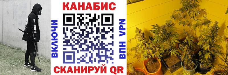 Купить закладку Амфетамин  Меф мяу мяу  Гашиш  Alpha PVP  Вышний Волочёк