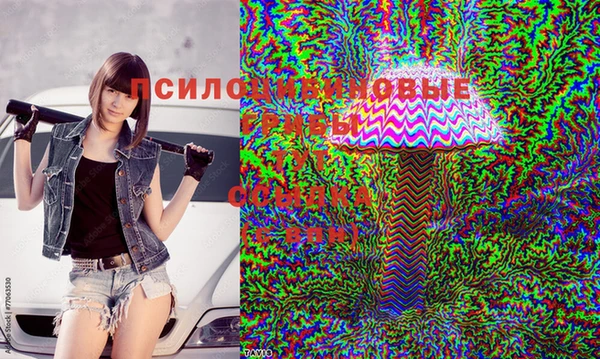 соль ск Кинешма